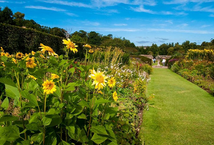 Gardens in Dumfries and Galloway